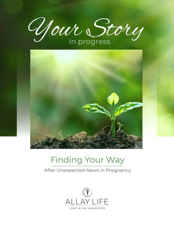 Allay Life Kendra Schaa Finding Your Way Workbook cover